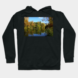 Reflections in the pond Hoodie